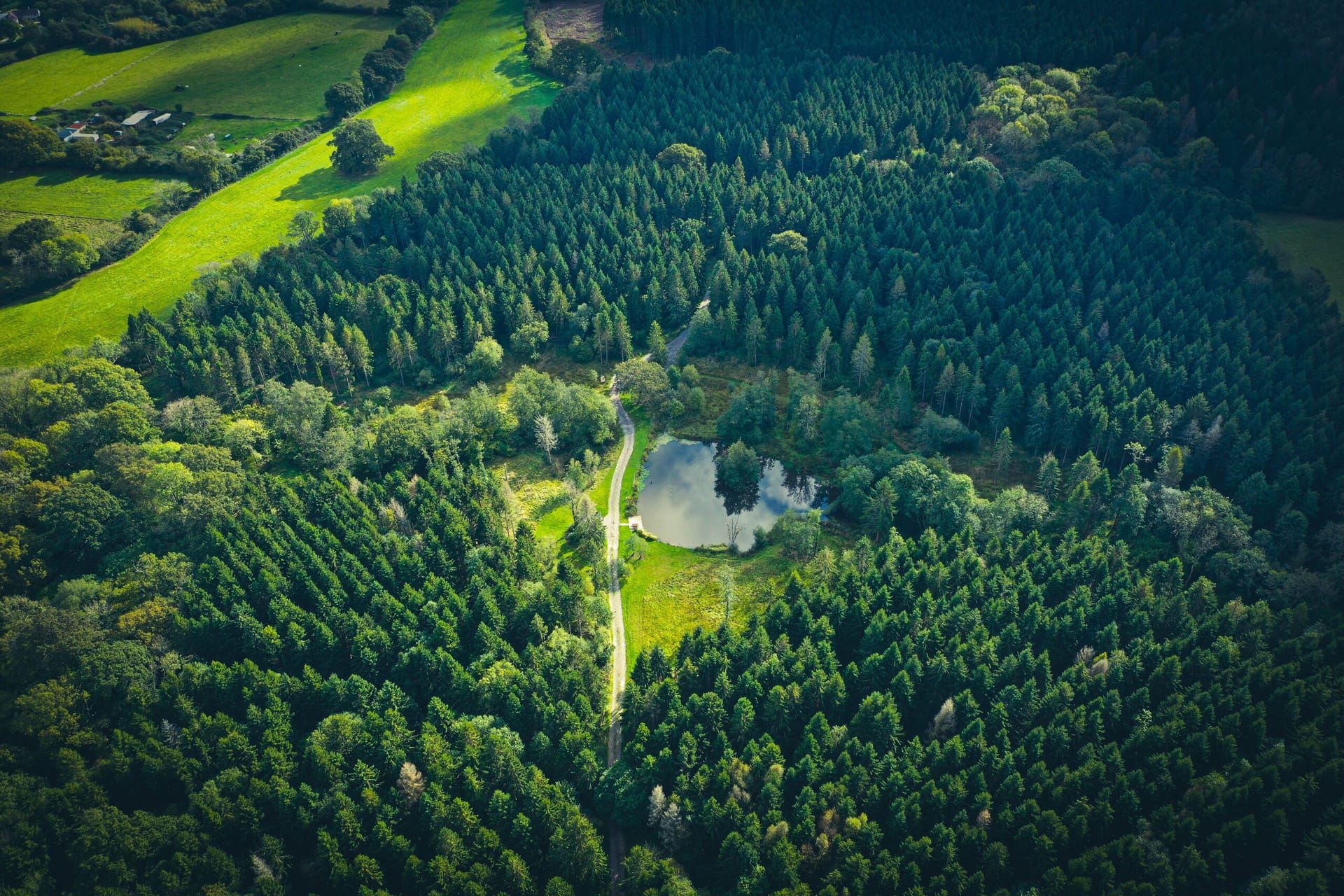 Aerial view of Greenfields Forest woodland and pond